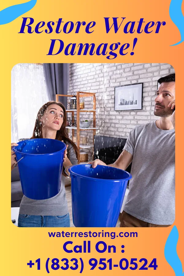 water restoration Classic Water Damage Experts Pleasant Plains
