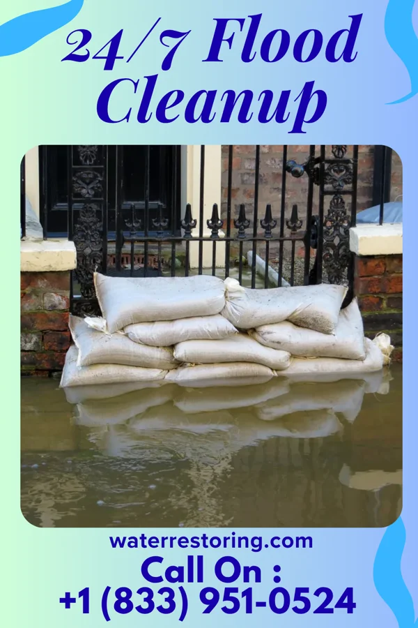 24/7 Flood Cleanup in Pleasant Plains, IL
