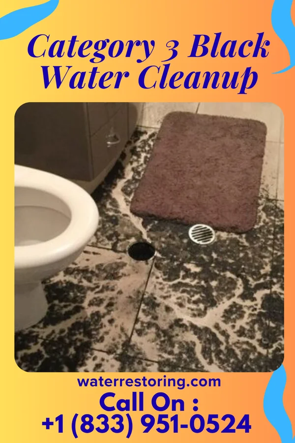 Category 3 Black Water Cleanup in Pleasant Plains, IL