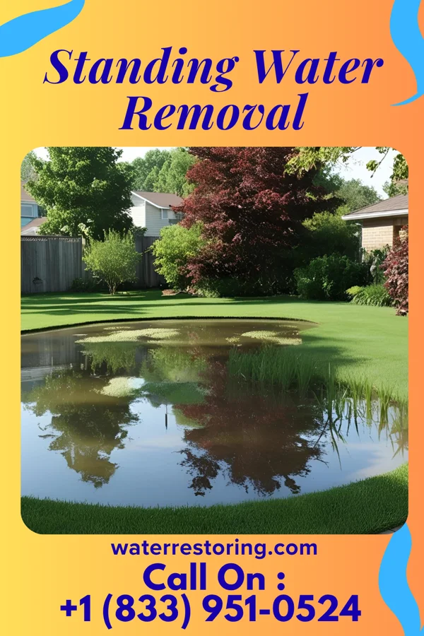 Standing Water Removal in Pleasant Plains, IL